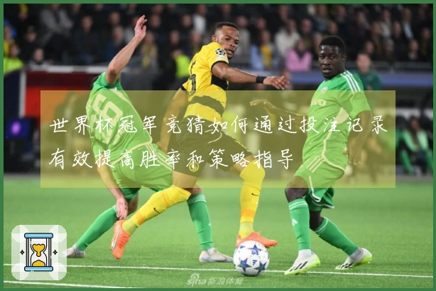 世界杯冠军竞猜如何通过投注记录有效提高胜率和策略指导
